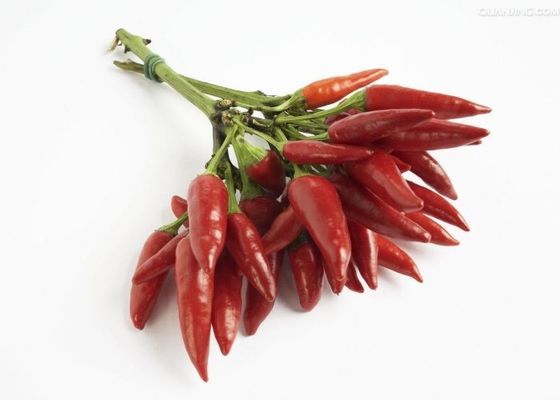 De onbestraalde Milde Droge Rode Spaanse pepers stamden Chili Pods Zero Additive
