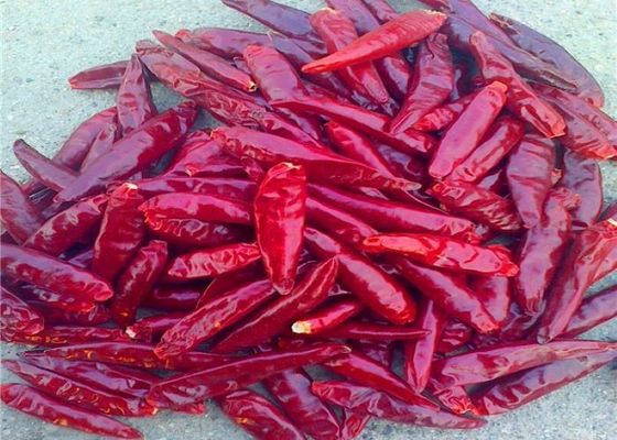 Het eetbare Rode Chiles Nieuwe Gewas van Tianjin stamde Droge Arbol Chili Peppers