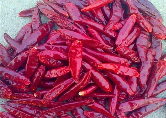 Sanying die Hete Peper KOSJER Mala Dried Whole Chillies ontwateren