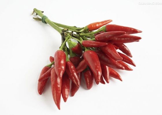 Spaanse pepers van de Chaotian ontwaterden de Hete Pot Geheel Droog Rood Chili Peppers