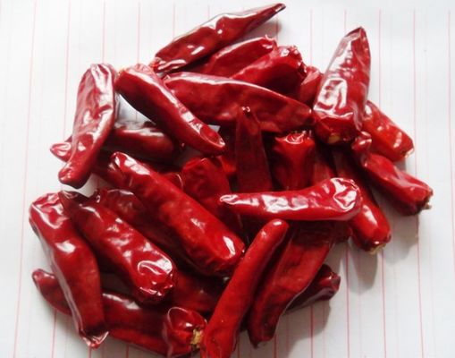 Spaanse pepers van de Chaotian ontwaterden de Hete Pot Geheel Droog Rood Chili Peppers