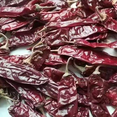 240 Droge Gehele Rode Spaanse pepers van ASTA Sweet Paprika Pepper Seedless GEEN Pigment