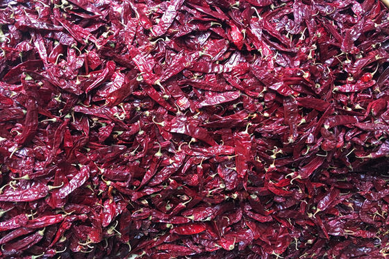 240 Droge Gehele Rode Spaanse pepers van ASTA Sweet Paprika Pepper Seedless GEEN Pigment