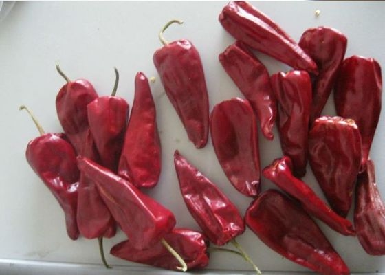 Stemless Droge Lange Rode Spaanse pepers 3000 KOSJER SHU Red Chili Pods
