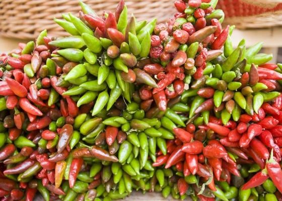 GMP Droge de Spaanse peperspeper Chinees van het Vogelsoog met Zaden 15000SHU