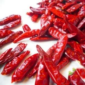 Chinees Droog Rood Chili Peppers Chaotian Szechuan Dried Chili Zero Additive