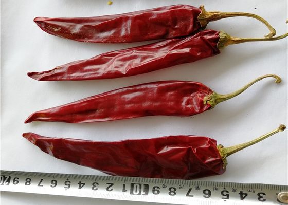 Rode Paprika van korrel de Droge Guajillo Chili Single Herb Dehydrated Spicy