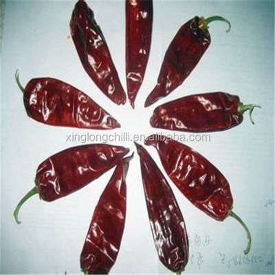 XingLong Droge Paprika Peppers 16CM Ontwaterd Rood Chili Pods