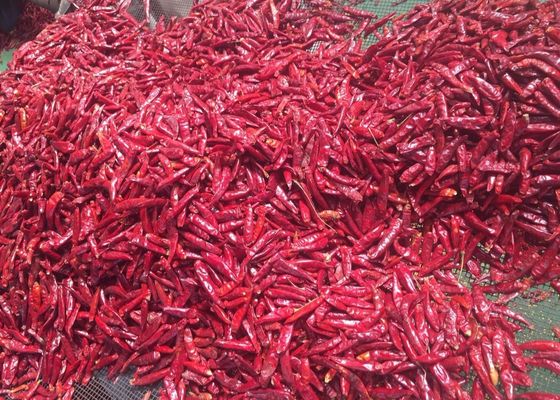 Tianjin ronde rode chili (100 g)