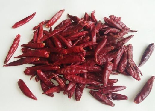 Stemless Rode Spaanse pepers van Tianjin sorteren de Droge Rode Chili Peulen van Tien-Tsin