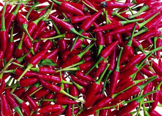 Tianjin Red Chilies Authentieke pittige smaak uit China