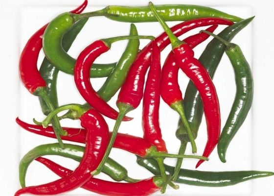 Luchtgedroogde Erjingtiao gedroogde chili zonder stam en gevuld met chilipepers