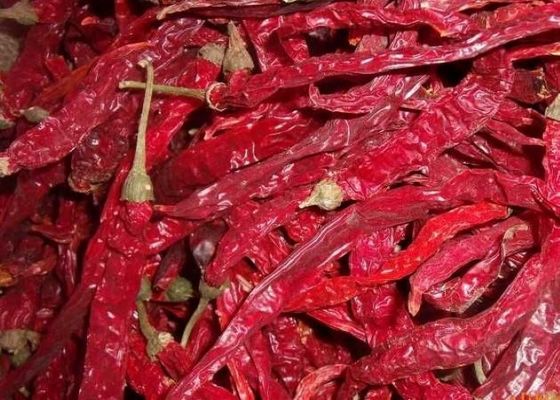 Erjingtiao gedroogde chili met 8-12% vocht en luchtgedroogd proces
