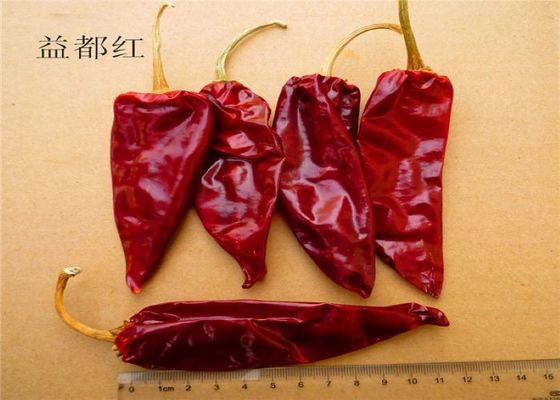 12cm de Droge Kruidige Vochtigheid van Peper Scherpe Droge Rode Chili Pods 12%