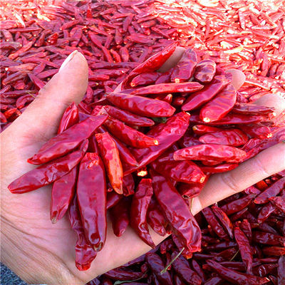 Droge Rode de Spaanse peperspeper 15000 van Tien-Tsin SHU Dehydrated Spicy Red Paprika