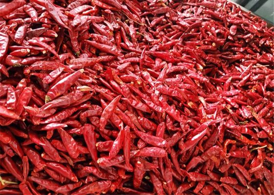 De Peper1% Geelachtige Scherpe Gehele Droge Spaanse pepers van Chaotian Droge Rode Spaanse pepers
