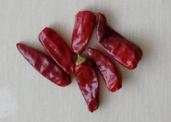 Chaotian om Droge Rode Spaanse pepers 6CM 30000 SHU Whole Chilli Pods