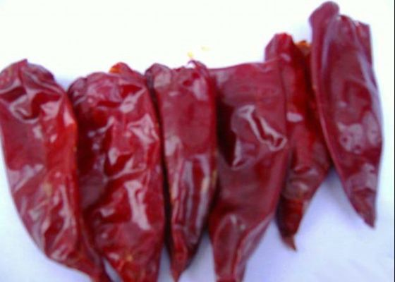 De ruwe Spaanse pepers van Scoville van Yidu Chili Zero Additive 2000 Lange Droge Rode