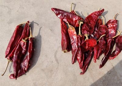 De droge Lange Rode Peper van Spaanse pepers Zoete Organische Guajillo 10cm Lengte