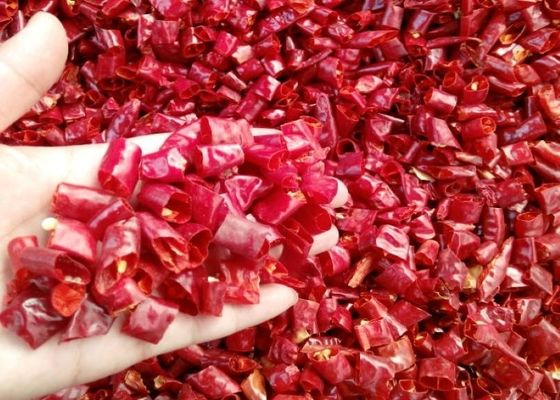 Chilipeper variëteit Spicy Pepper Ring voor enkelvoudige kruiden Spices