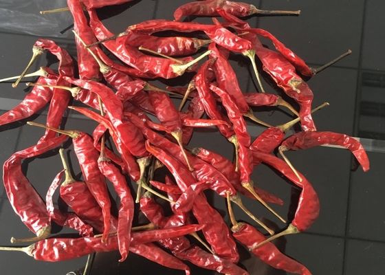 Stemless Erjingtiao Droge Chilis steriliseerde Gehele Scherpe Spaanse pepers