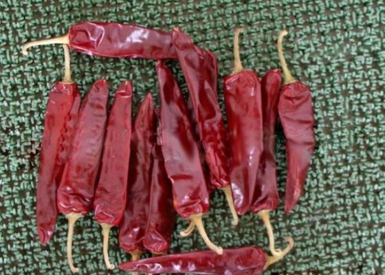 Maasnummer Etiketteren en identificeren Gedroogde rode chili Vocht≤14% voor producten