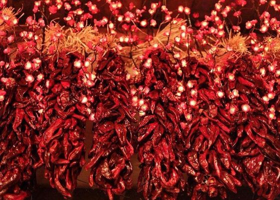 Lang droog 8000 het Scherpe Aroma van SHU Dried Red Chilli Peppers 20Kg
