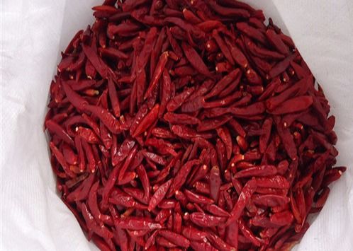 Van HACCP Tianjin de Rode Droge Chili Pods 12% Vochtigheid van de Spaanse peperscayennepeper