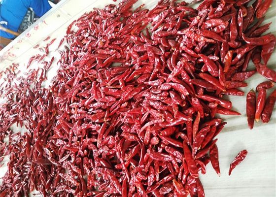 3CM de Droge Spaanse pepers Scherp Rood Chili Pods Dehydrated Without Stem van het Vogelsoog