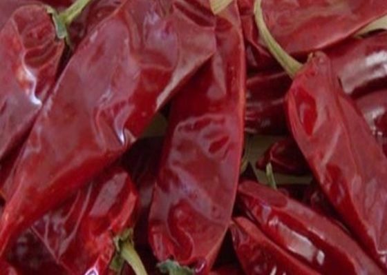 8000 SHU Cherry Red Guajillo Chilis ADVERTENTIE die de Vorm van de de Peulenstok van Chili Guajillo drogen