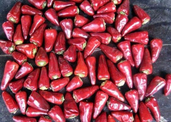 Gestamde Hemel die Droge Rode Spaanse pepers van Spaanse pepers de Culinaire Chaotian onder ogen zien