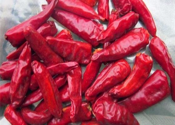 Chilli ingrediënten op een koele en droge plaats bewaren