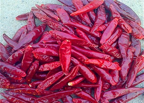 Stemless het Oogspaanse pepers 20000 van ADVERTENTIE Droge Vogels SHU Red Chilli Peppers
