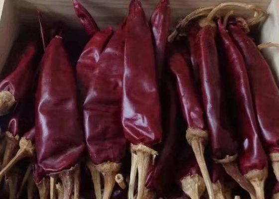 De middelgrote Hete Droge Guajillo-Peper 10000SHU van Chili van de Spaanse peper12% Vochtigheid Rode