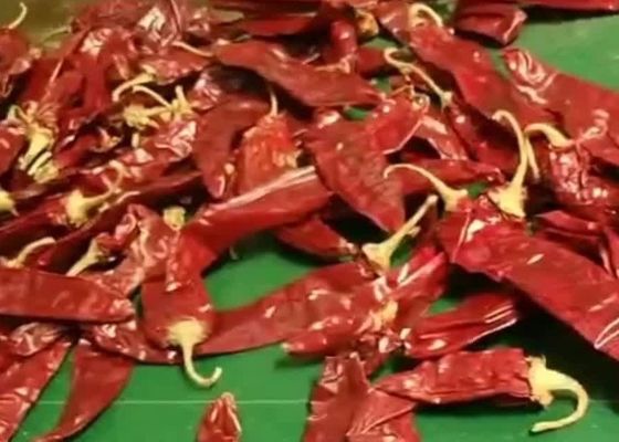 8000 SHU Cherry Red Guajillo Chilis ADVERTENTIE die de Vorm van de de Peulenstok van Chili Guajillo drogen