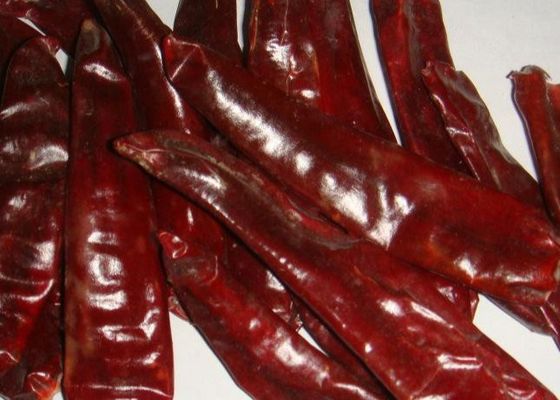 Mexicaanse Spaanse peper 5000 van Voedsel Droge Guajillo SHU Dried Red Peppers Paprika