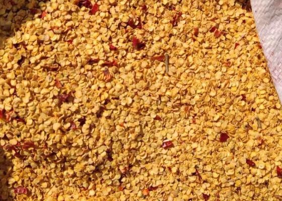 Zaden 10PPB 15000 SHU Spicy Pepper Seeds HACCP van korrel de Droge Spaanse pepers
