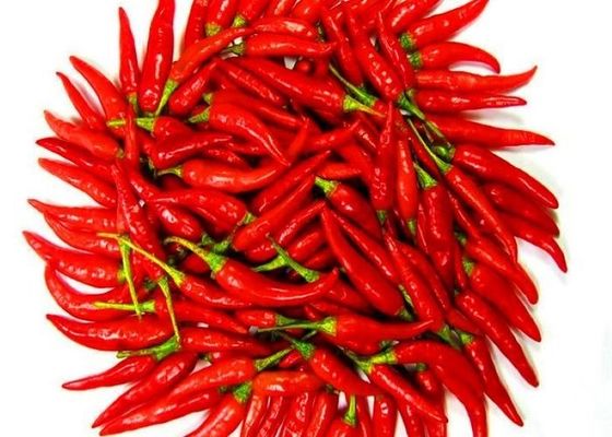 Nieuwe gewassen Japanse gedroogde vogels oog chili paprika A-klasse