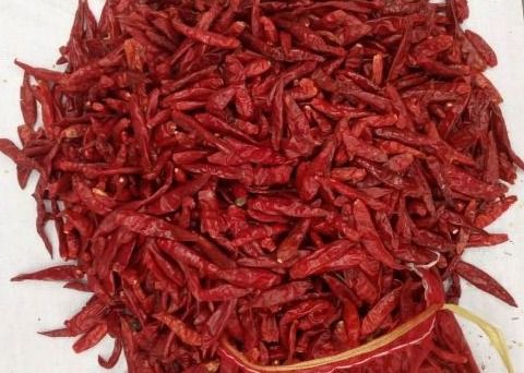 GEEN Pigment Kruidige Droge Chiles Stoom Gesteriliseerd Chili Pods For Tamales