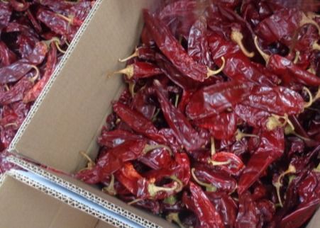 Ontwaterd Cherry Red Guajillo Chilis 13CM Droge Lange Rode Spaanse pepers 100 SHU