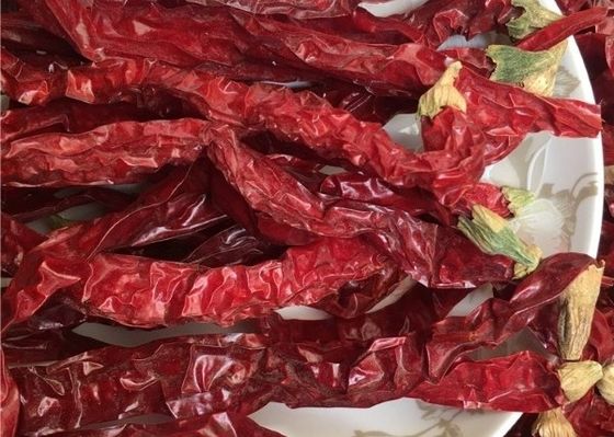 Van de de Gierstpeper van Guizhoumantianxing Materiële Kruiden van Chili Hot Pot Seasoning Raw de Droge
