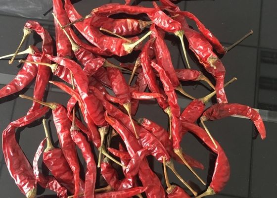 Rood Rood de Spaanse pepers Nieuw Gewas KOSJER FDA HACCP ISO van Yidu Chili Tianying Jinta Chili American