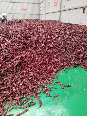 Volle paprika, rode peper, kwaliteit A met 1