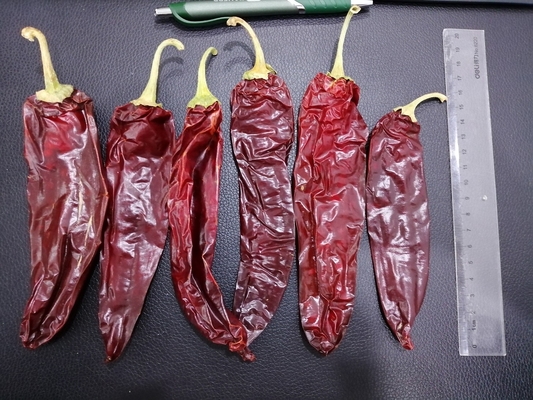 Droog Guajillo Chili Big Size Picked By de Handen Natuurlijk Rood van Chilescalifornië