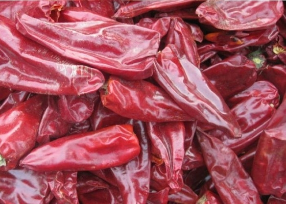 8000 SHU Natural Yidu Chili Red-Spaanse pepers van Peperbeijinghong Jinta