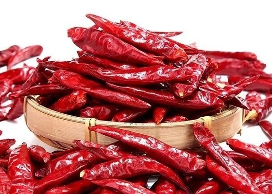 Tien Tsin Dried Red Chilli-Peper die voor Szechuan-Stijl Kung Pao Ingredient koken