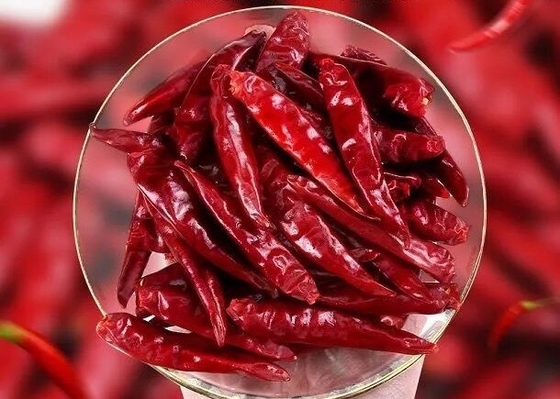 Gehele Rode Spaanse pepers Tianjin Chili Dehydrated van Chaotian de Droge Rode Spaanse pepers