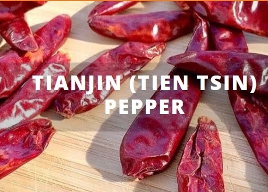 Het Chinese Vacuümpak van Tianjin Tien Tsin Chile Peppers In 5lb