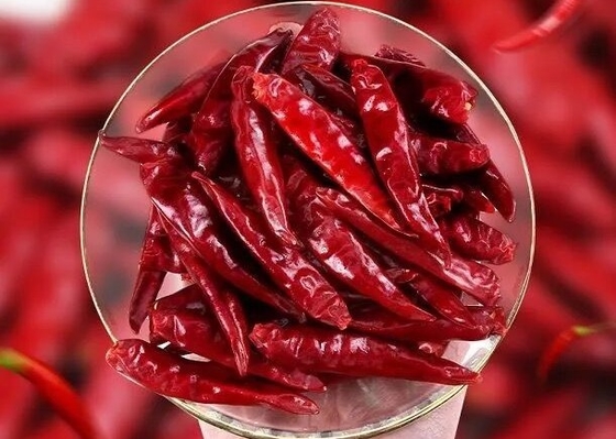 De Peper van Tianjintien tsin dried red chilli voor het Koken van Ingrediënt