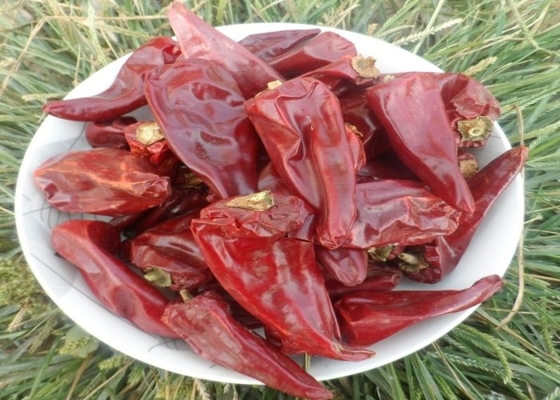 Yidu Chili met scherpe chili smaak